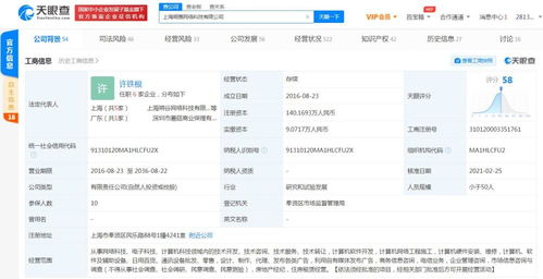 商务信息咨询在现代企业中的关键作用